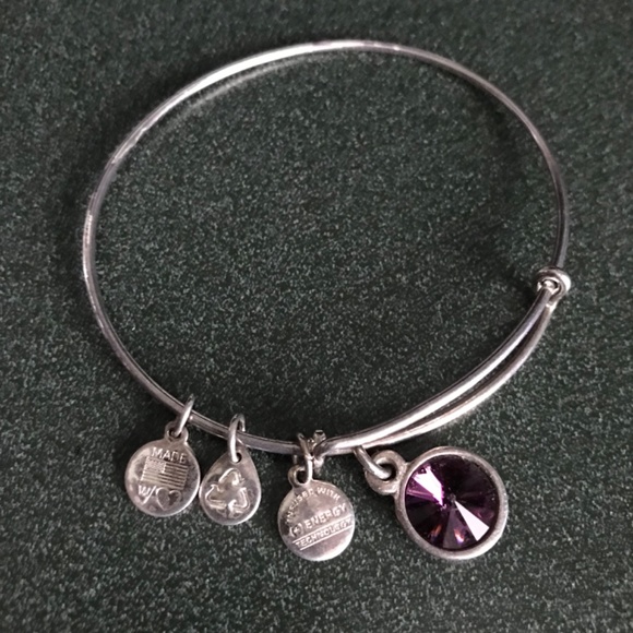 Alex and Ani Expandable Wire Bracelet - Picture 2 of 11